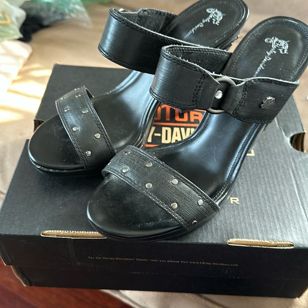 Harley Davidson shoes.